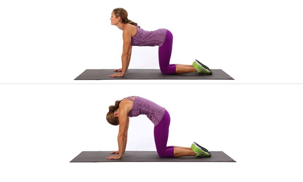 1 упражнение для спины