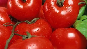 Roșiile, aliat neașteptat pentru ficatul gras. Ce s-a întâmplat după doar șase săptămâni de consum zilnic