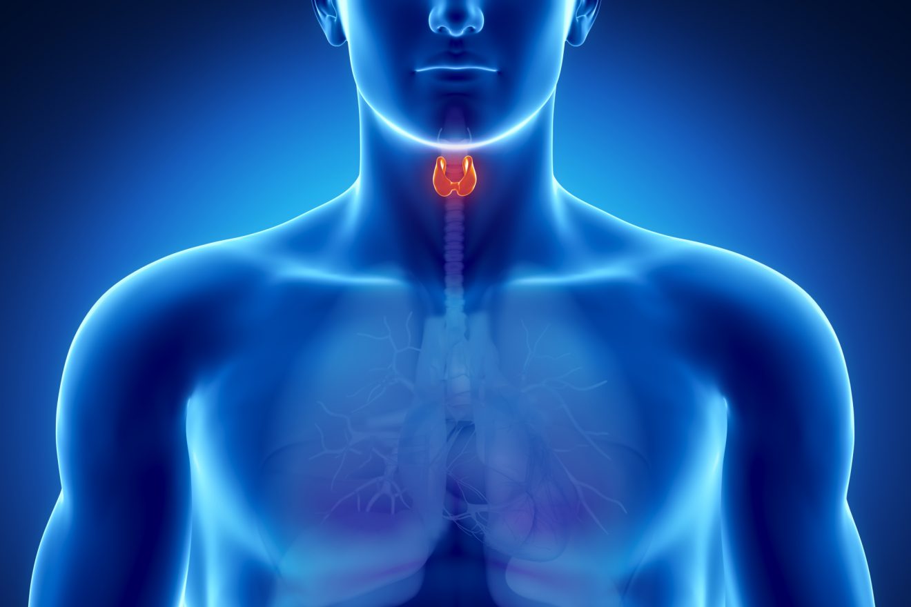 Boli tiroidene la bărbaţi. Simptome particulare