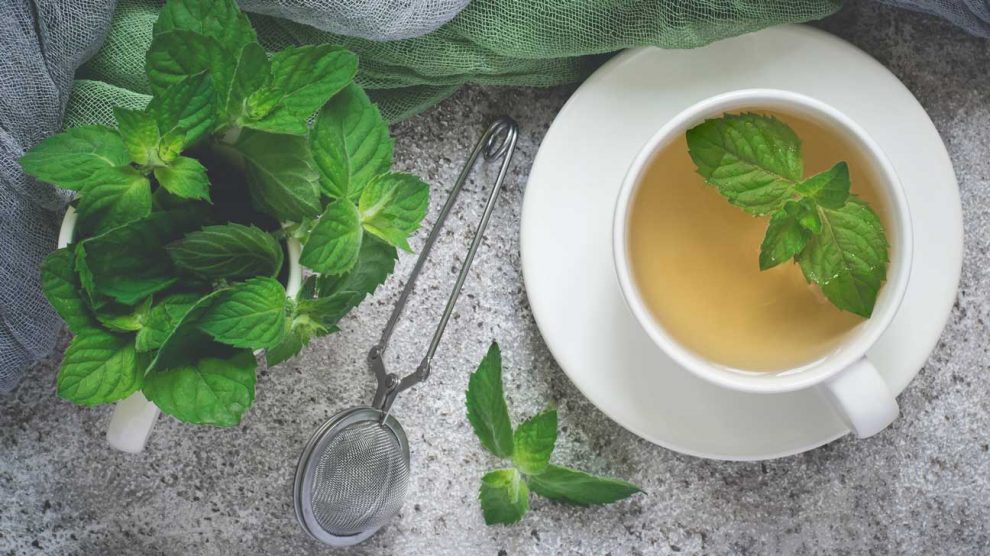 beneficiile pierderii în greutate a ceaiului de menta